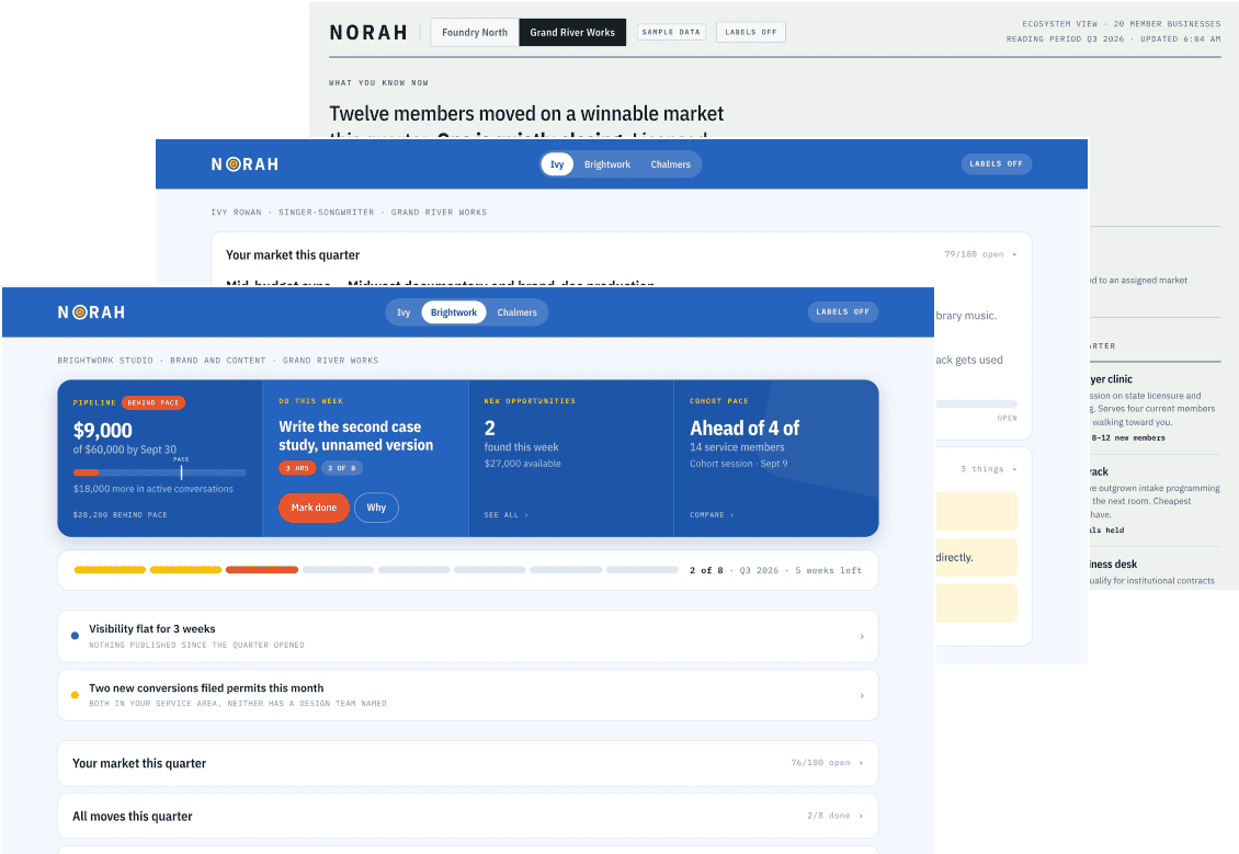 Three NORAH dashboard screens layered together: a founder home screen, a founder market view, and an ecosystem overview